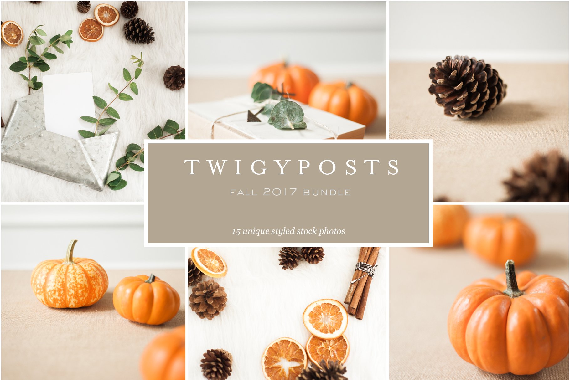 秋季南瓜场景样机模板 Fall Stock Photo Bundle插图