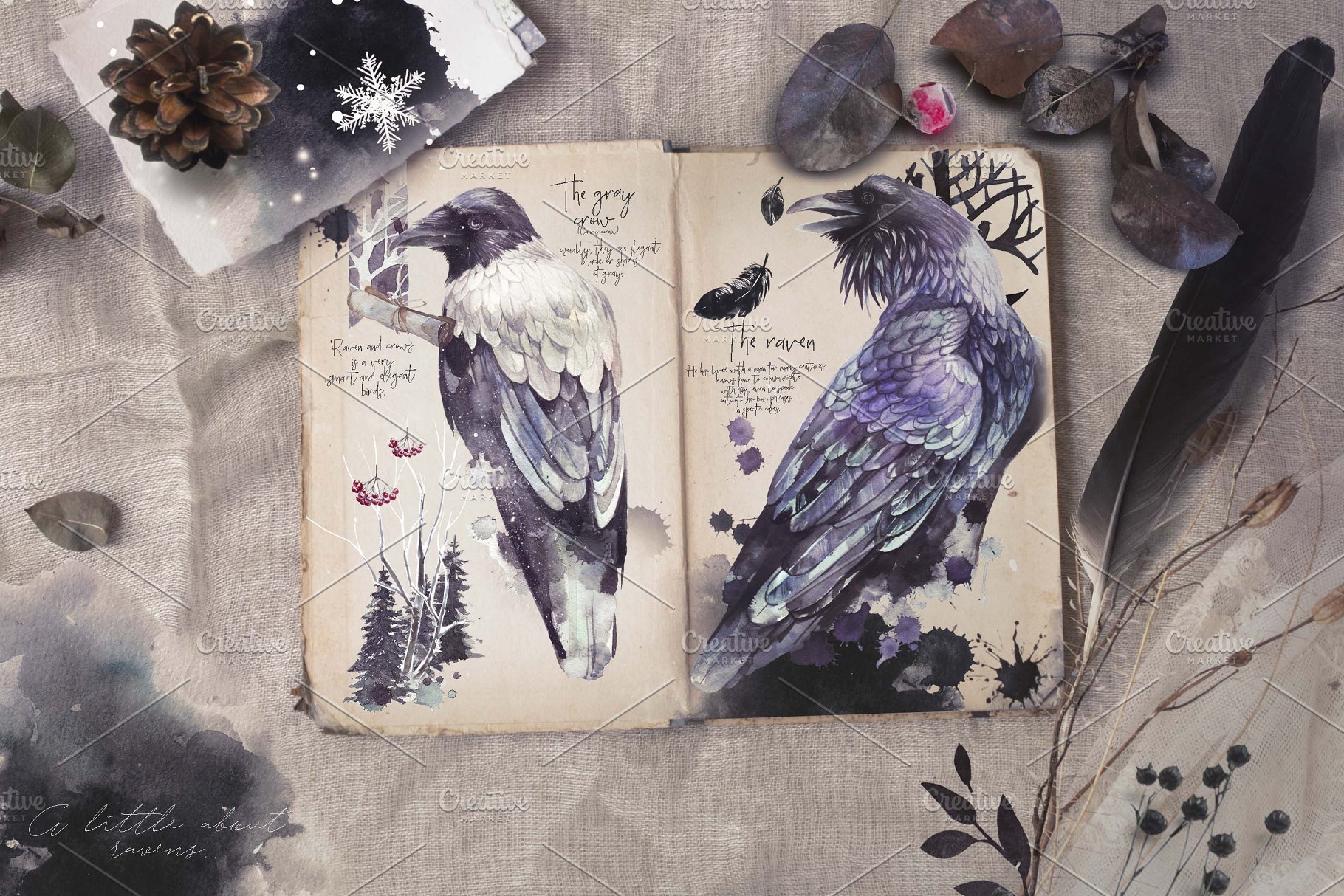 乌鸦、鸟、冬季风景、场景、水彩造型&字体 [2.81GB, 格式PNG, PSD,JPG &HTML] Ravens & birds vol.1插图(7)