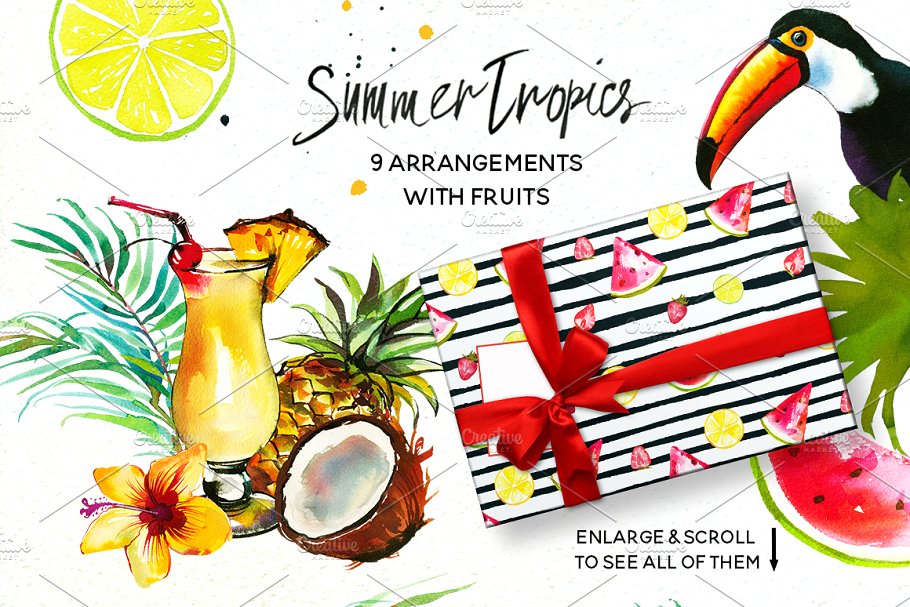 热带水彩花卉超级素材包[1.92GB] Tropic Watercolor Flowers & Animals插图(3)