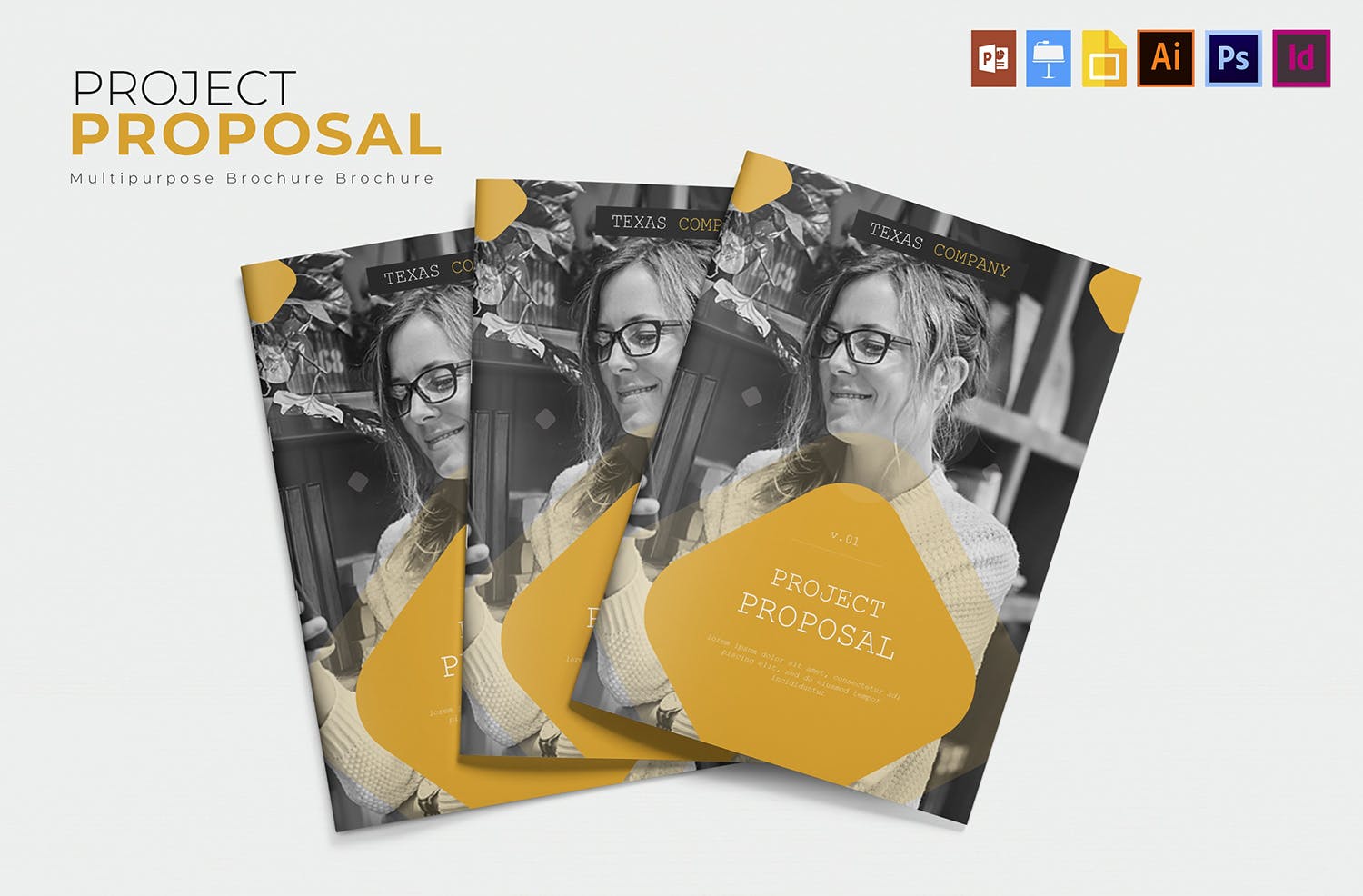 项目建议书/提案设计模板 Project | Proposal插图(1)