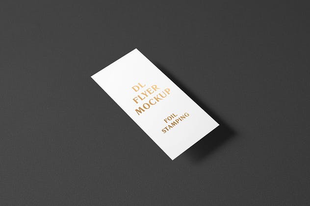 高端烫金文字铝箔DL传单样机 DL Flyer With Foil Stamping Mockup插图(5)