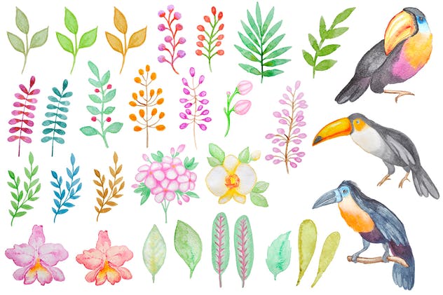 热带主题手绘水彩图案合集 Watercolor Tropical Kit插图(1)