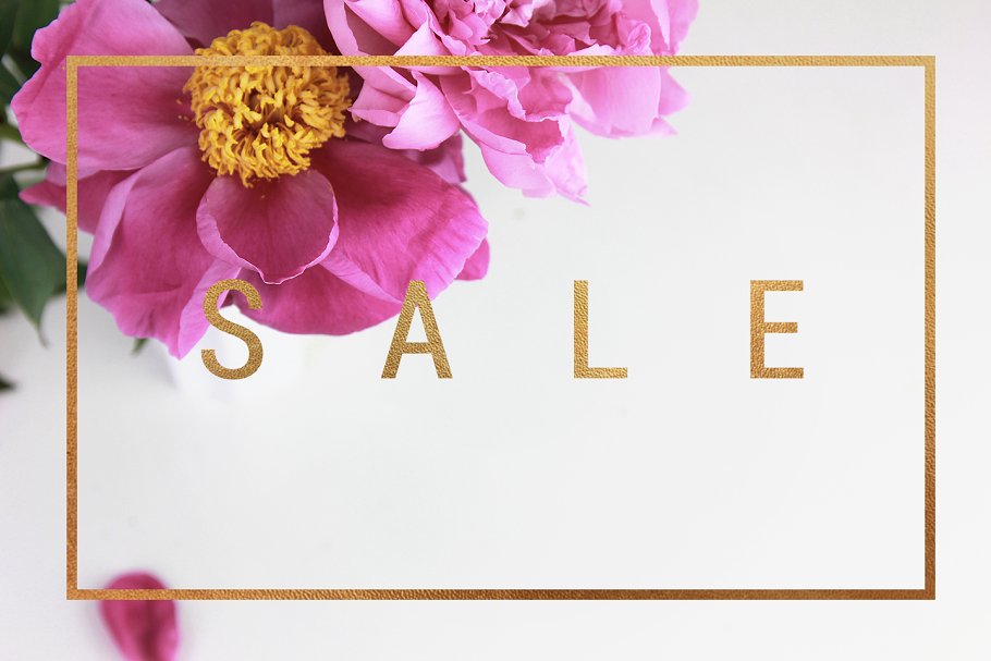 粉红牡丹场景装饰样机模板 Pink peonies stock & mockups插图(4)