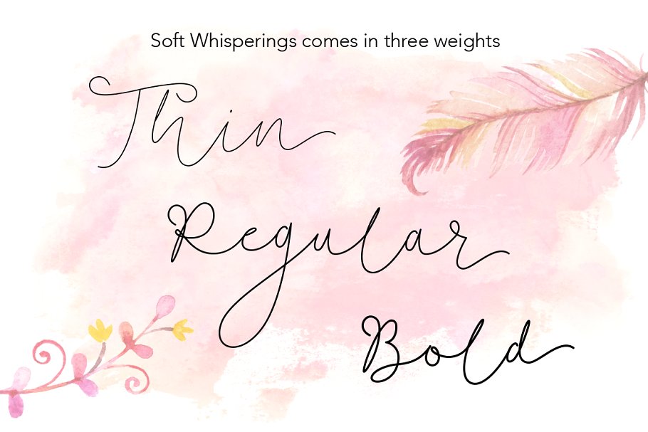 纤细体英文手写字体&100款水彩/金属纹理 Soft Whisperings Font and 100 Extras插图(1)