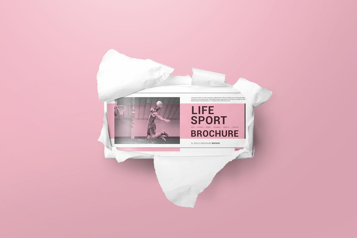 双折页DL宣传册样机模板 DL Bifold Brochure Mockups插图
