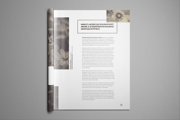 美国信纸规格时尚杂志宣传册样机 US Letter Brochure Mockups插图(13)