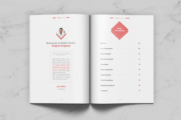 商业项目计划书/提案设计模板 Project Proposal插图