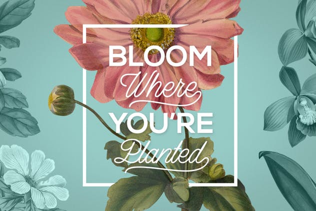 复古花卉矢量插画素材 Vintage Illustrations of Flowers插图(8)