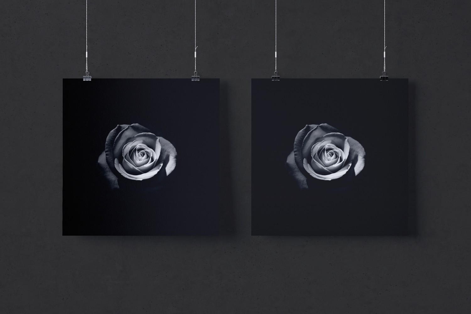 1:1比例两幅肖像油画海报展示样机素材库精选 Two 1:1 square hanging posters mockup插图(2)