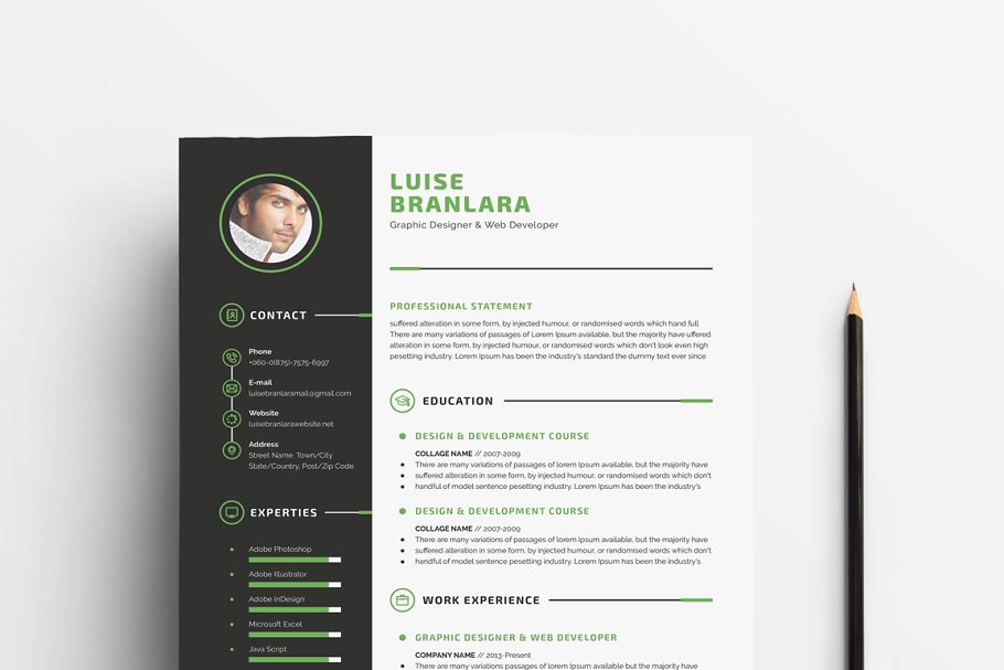 个人简历模板下载 Professional Resume/CV插图(7)