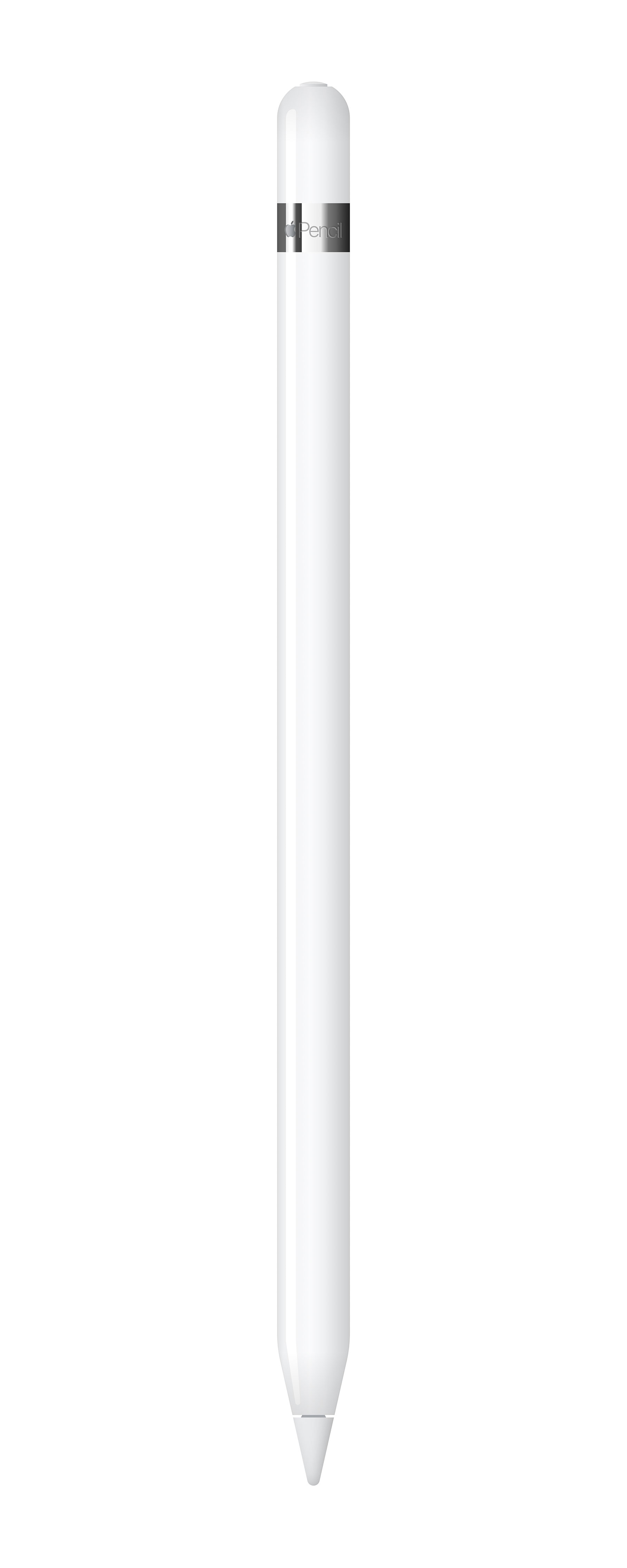 Apple Pencil 模型