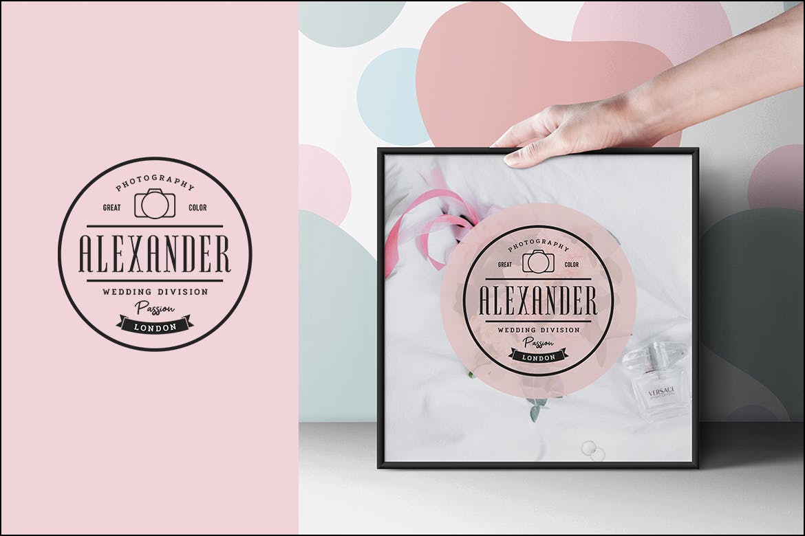 欧美复古设计风格品牌素材库精选LOGO商标模板v9 Vintage Logo & Badge Vol. 9插图(3)