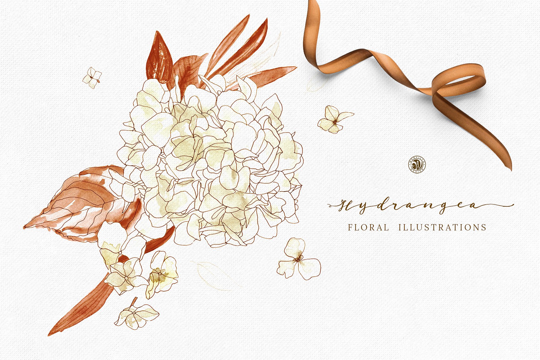 手绘绣球花水彩花卉剪贴画合集 Hydrangea – watercolor and ink插图(4)