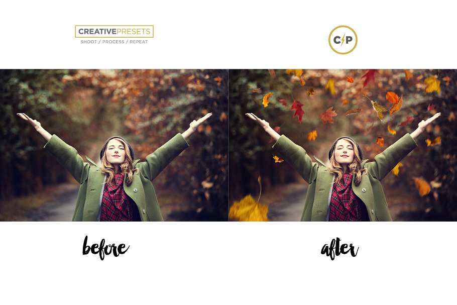 秋季枫叶落叶叠层背景 Falling Leaves Overlays插图(7)