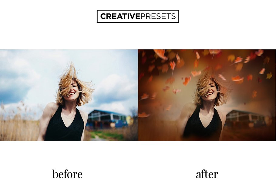 秋季枫叶落叶叠层背景 Falling Leaves Overlays插图(5)