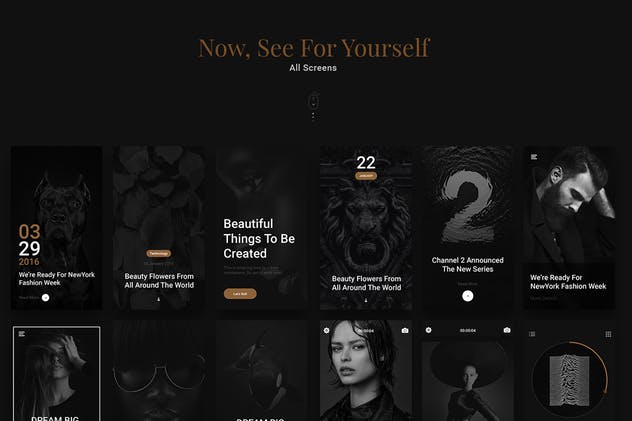 “黑与金的绝配”-多用途 APP UI 套件 Gold &  Coal – UI Kit for Mobile插图(4)