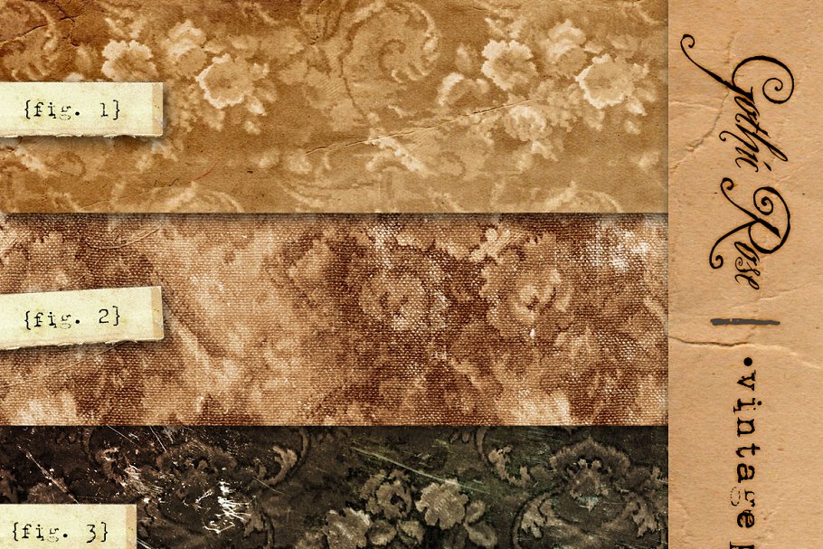 哥特式玫瑰复古纸张纹理 Gothic Rose Vintage Paper Textures插图(1)