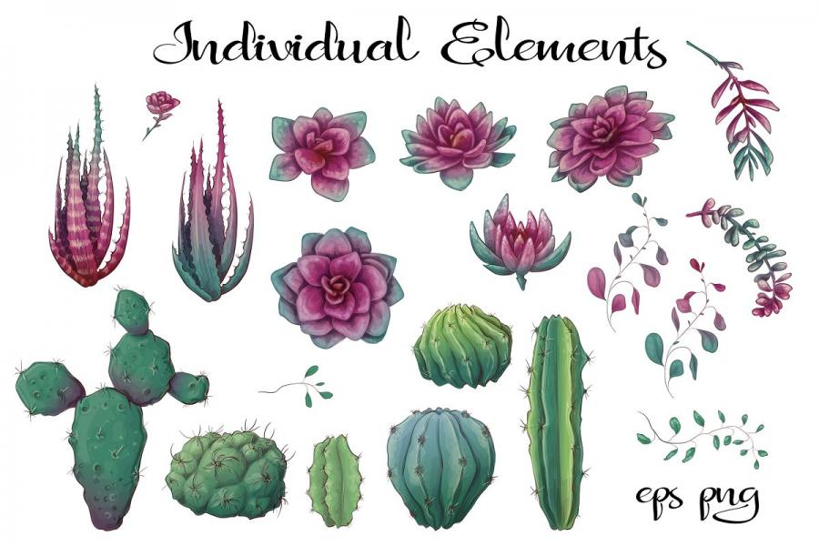 紫色的仙人掌和肉质植物矢量剪贴画插图(3)