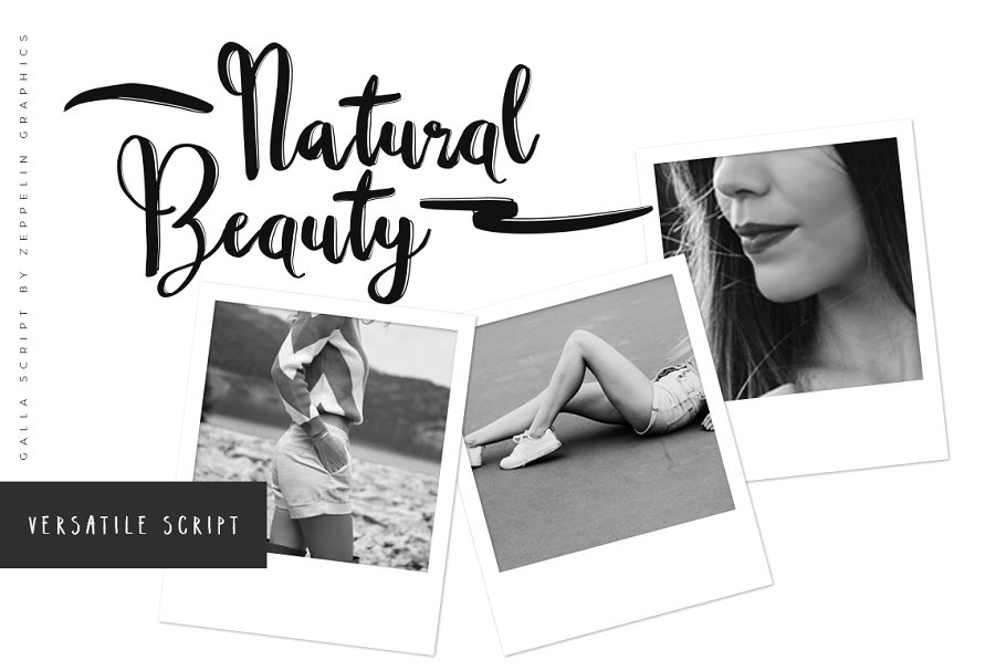 13款手写英文字体合集&Logo模板、矢量插画 Wonderland Fonts Pack & Branding Kit插图(104)