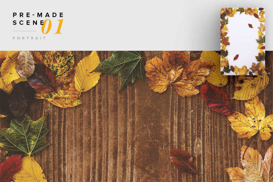 秋天主题场景样机设计素材包[2.39GB] Autumn Edition – Custom Scene插图(3)