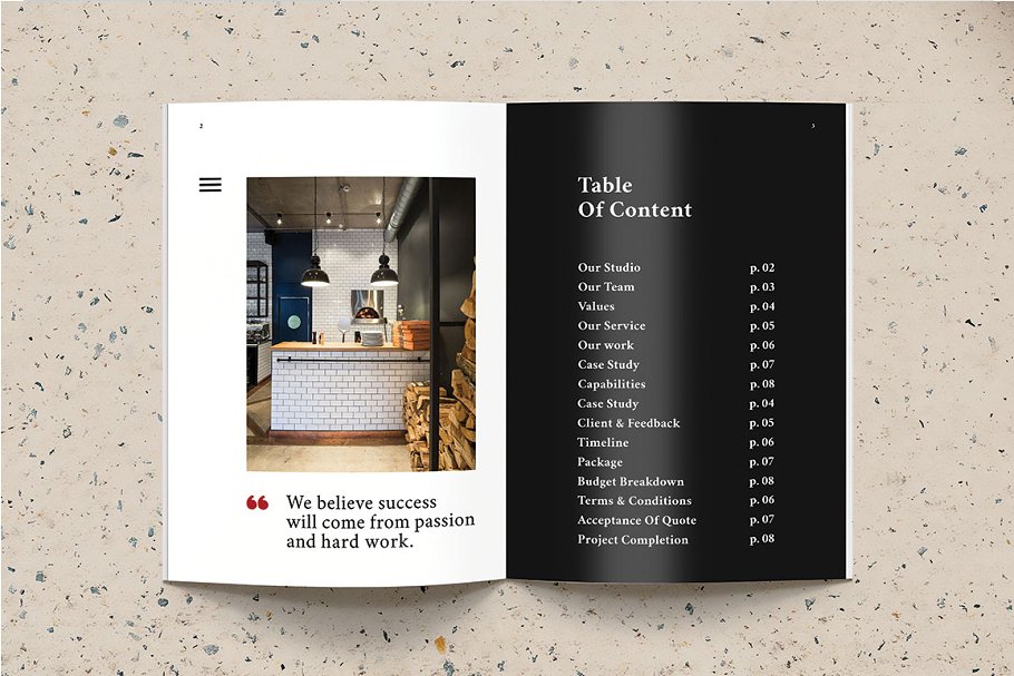 多用途时尚摄影/产品宣传册插图(16)