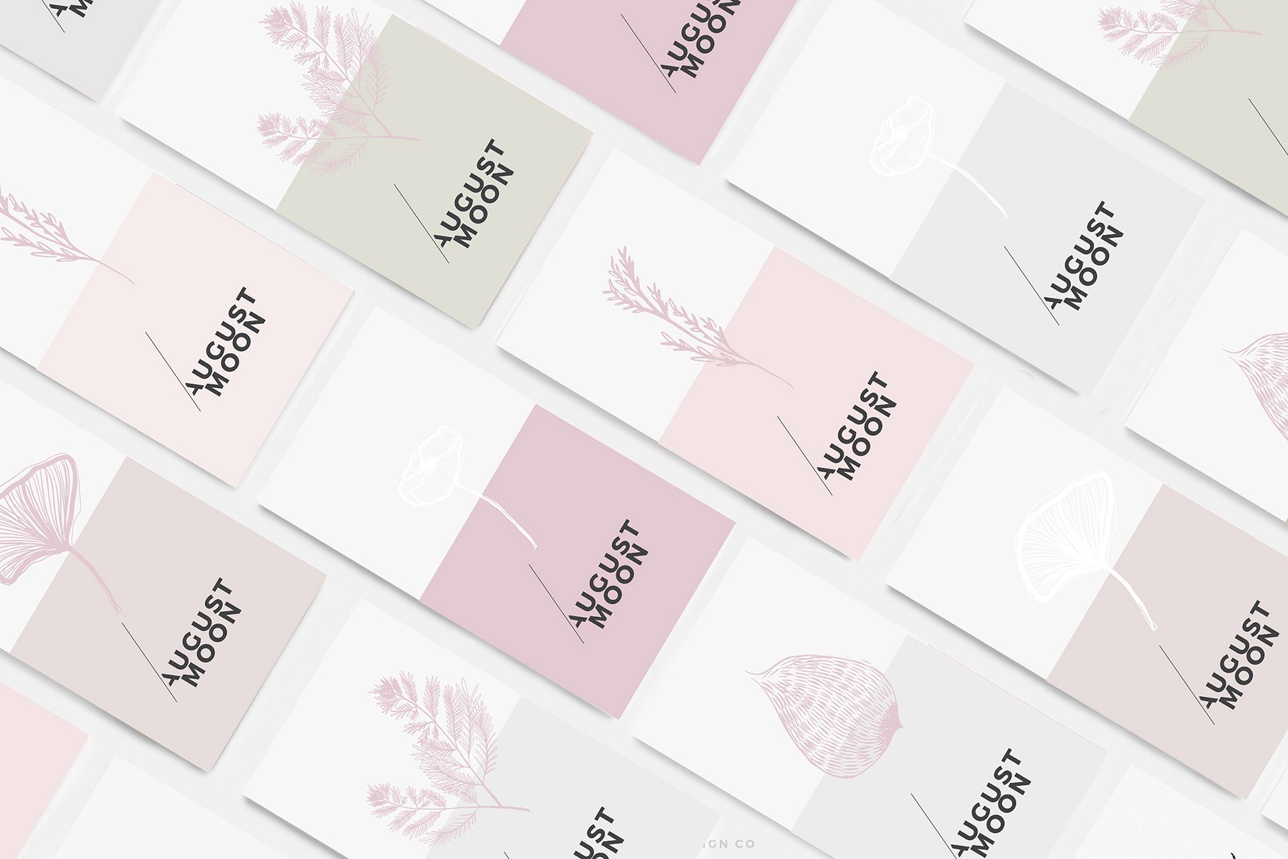 手绘有机植物矢量插图集 Botanical Garden Vector Graphics插图(6)