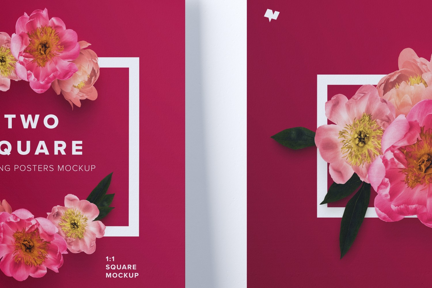 1:1比例两幅肖像油画海报展示样机素材库精选 Two 1:1 square hanging posters mockup插图