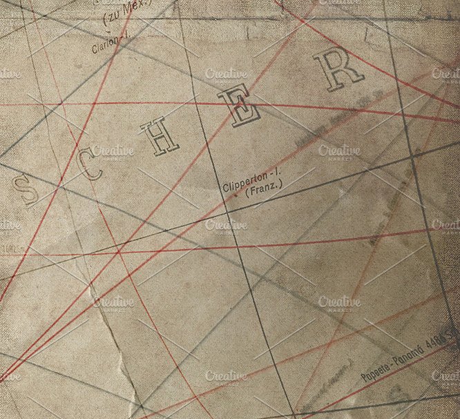 低调奢华玫瑰金图案纹理 Tropical Tempest: Rose Gold Aquatics插图(2)