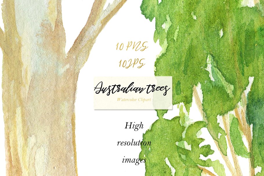 澳大利亚本土树木水彩剪贴画 Australian native trees. Watercolors插图(3)