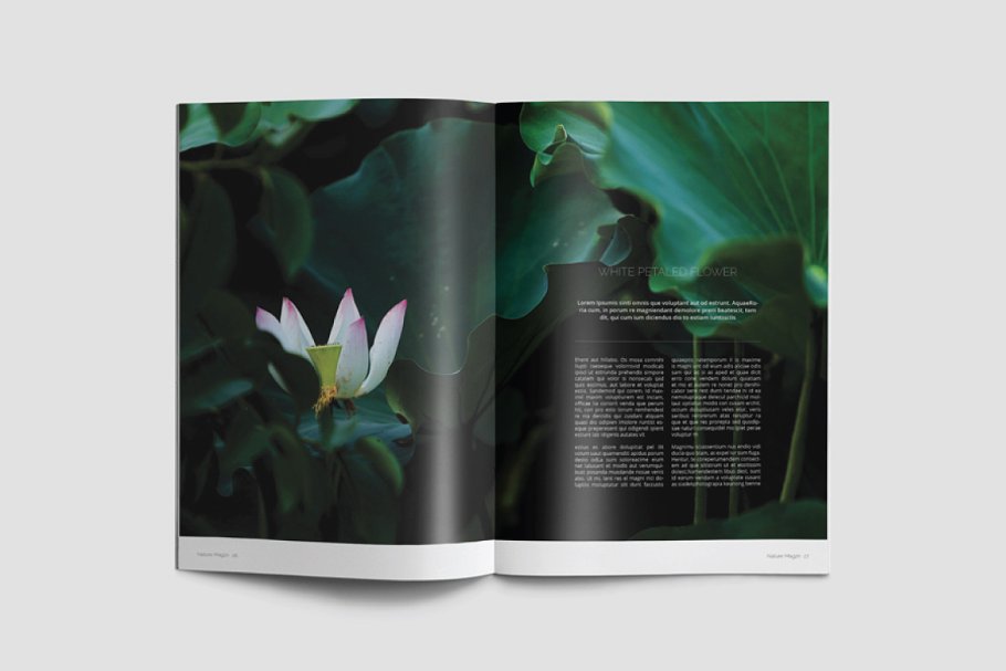 绿色大自然图册设计模板插图(2)