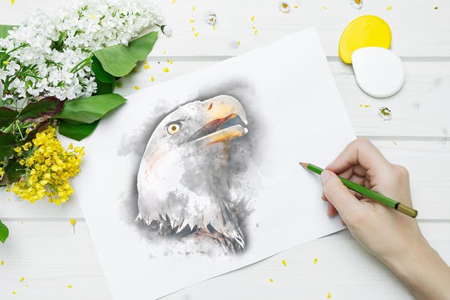 质朴的动物水彩手绘插图Vol.1 Rustic Watercolor Animals – Volume 1插图(4)