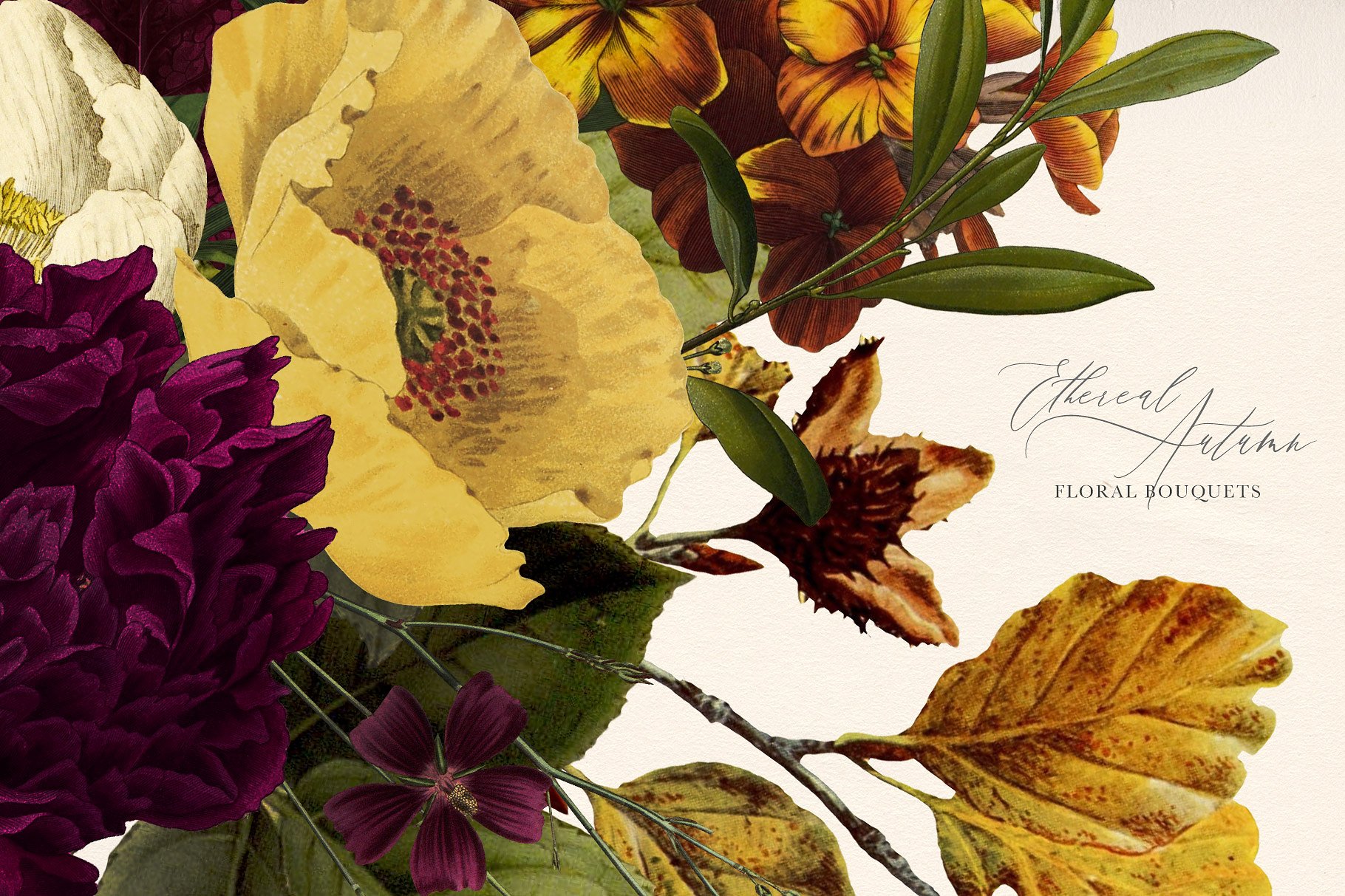 栩栩如生的秋天花束插画 Ethereal Autumn Floral Bouquets插图(3)