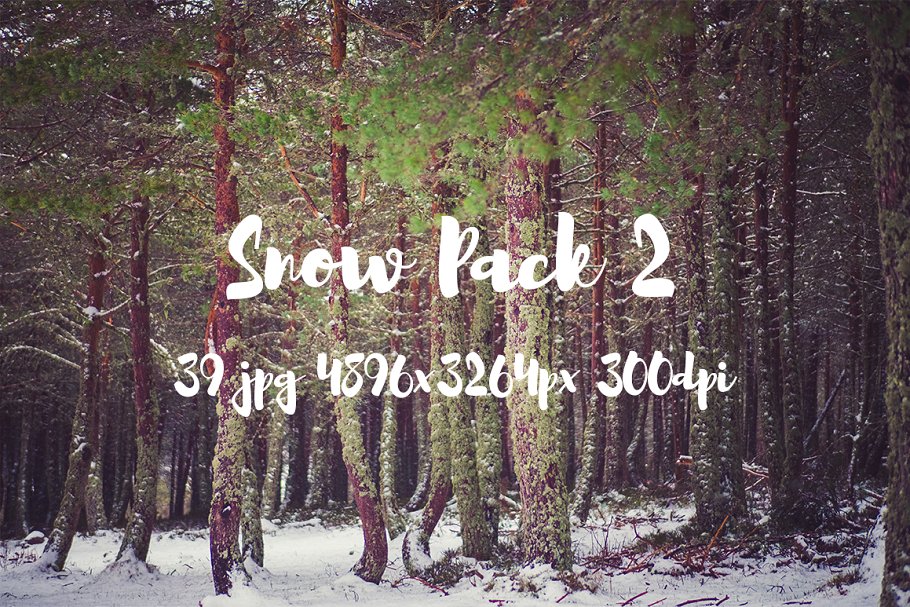 白雪茫茫雪景高清照片素材 Snow Photo Pack II插图(5)