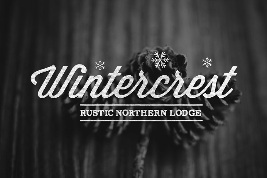 复古徽标系列英文logo设计模板 Vintage Logo Collection MegaBundle插图(2)