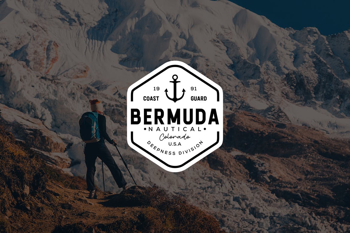 欧美复古设计风格品牌素材库精选LOGO商标模板v33 Vintage Logo & Badge Vol. 33插图(2)