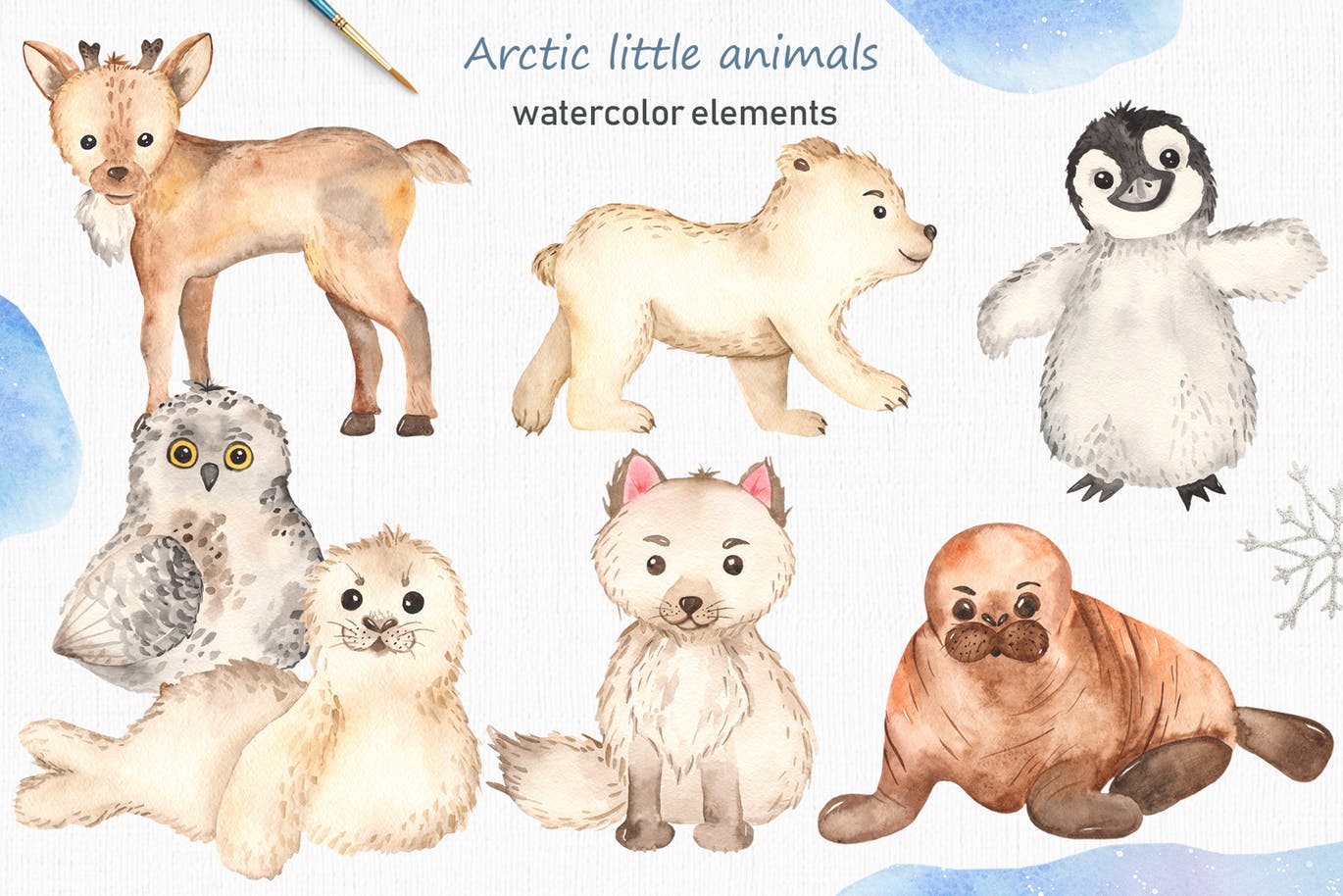北极小动物水彩手绘剪贴画&卡片素材 Watercolor Arctic little animals Clipart cards插图(1)