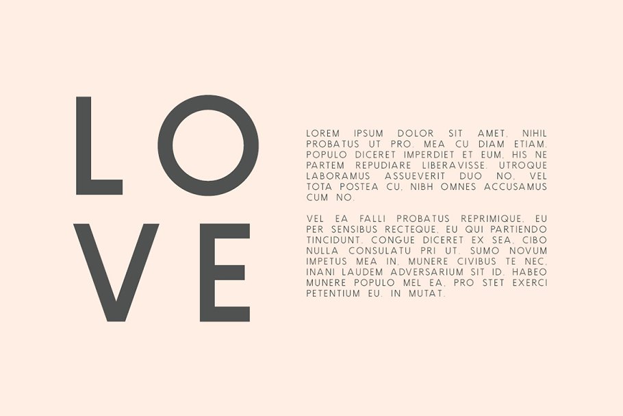 正体适合书面印刷排版的无衬线英文字体 Brooklyn | Two Weight Font Family插图(5)