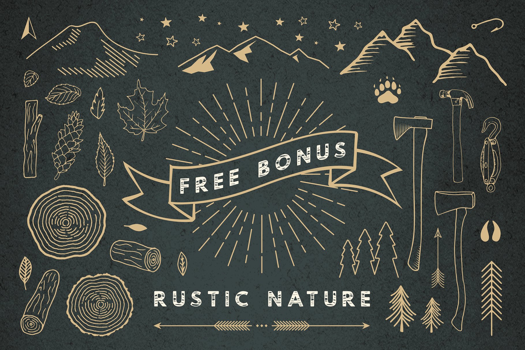 木纹无衬线英文字体 Timber Hitch Font + Nature Designs插图(2)