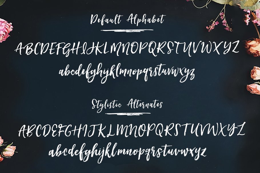 轻舞飞扬般流畅画笔笔刷英文字体 Hartley Rough Brush Script Font插图(5)