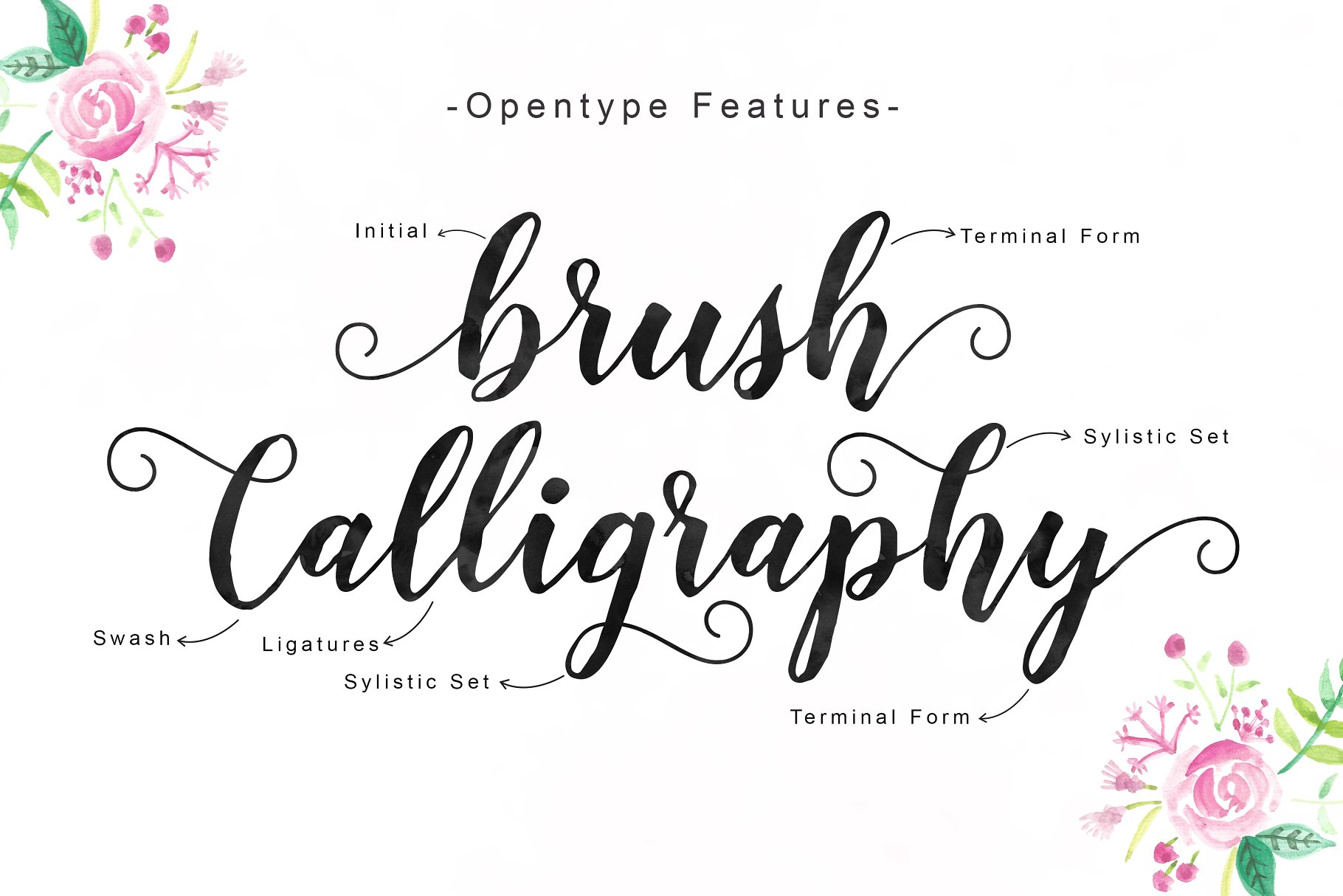 飘逸艺术英文字体 Delighted Script插图(7)