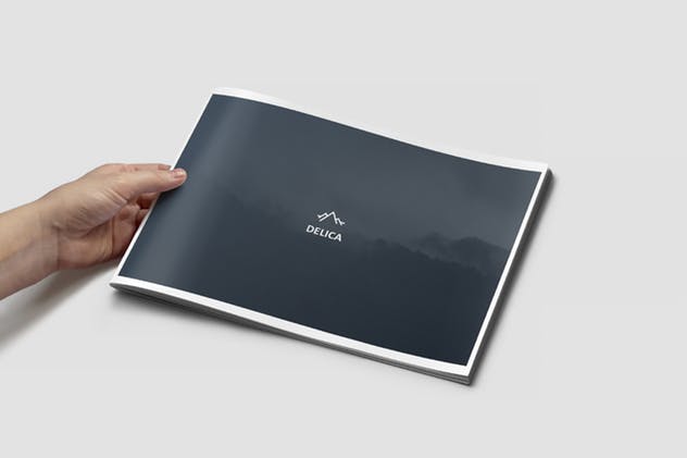 创意极简主义项目/企业宣传精美PPT模板下载 Delica Powerpoint Presentation插图(12)