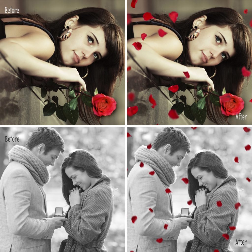 30个创意照片玫瑰花瓣叠加层素材下载[png]插图(3)