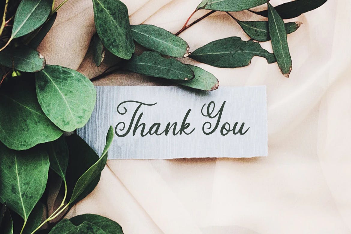 非常适合品牌设计的优雅风格英文书法字体 Crownys Calligraphy Script插图(7)