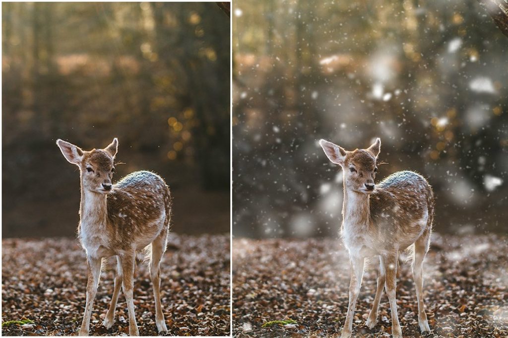 浪漫的雪景飘舞雪花效果PS动作 Snow Photoshop Action插图(3)