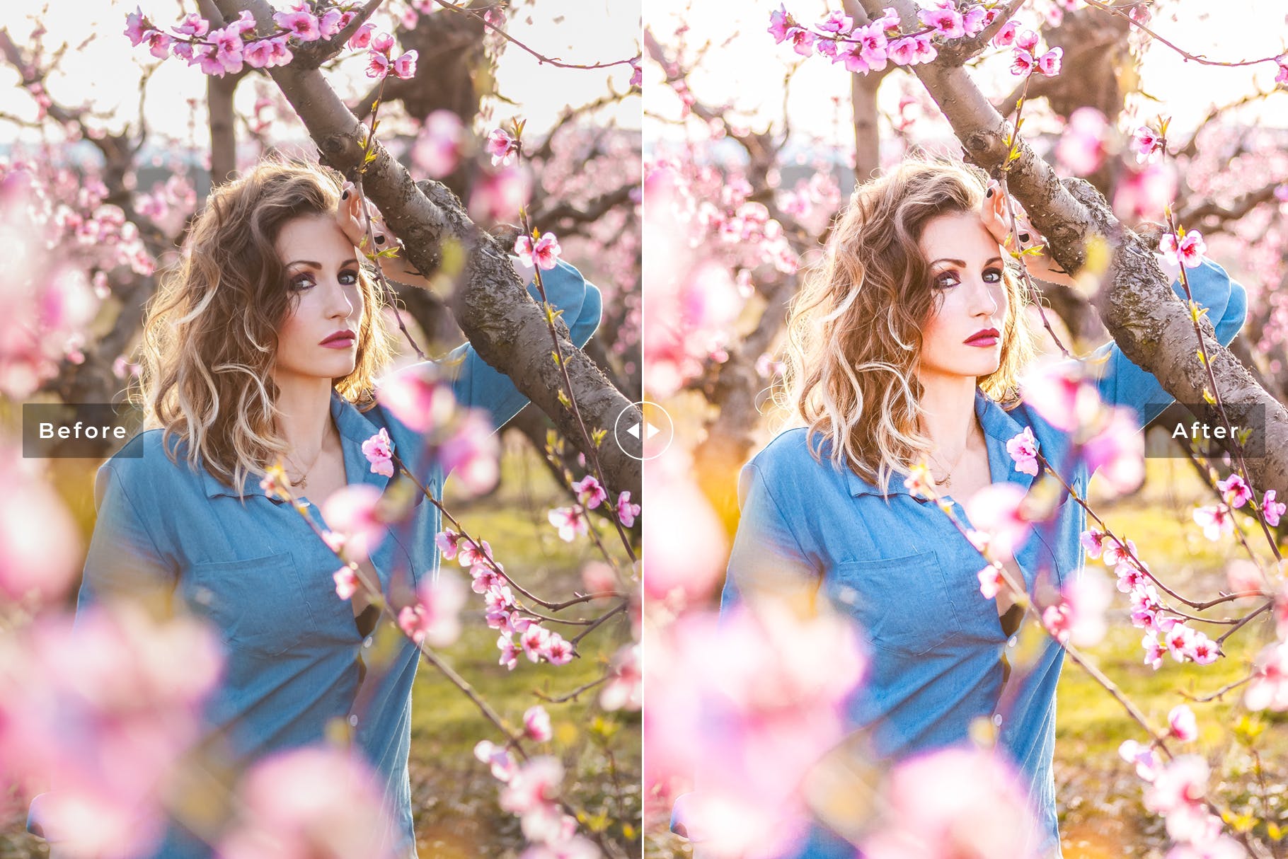 低饱和度柔和色调照片调色滤镜素材库精选LR预设 Sakura Mobile & Desktop Lightroom Presets插图(4)