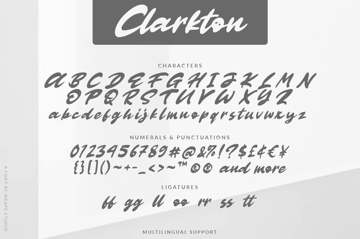 粗体画笔手写英文字体素材库精选 Clarkton – Bold Script Font插图(6)