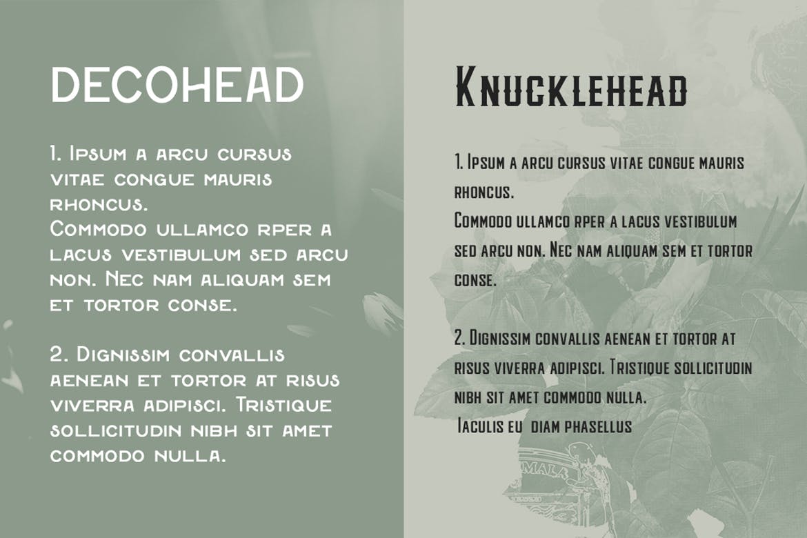 英文请柬设计无衬线字体下载 Wedding Font Pairing插图(2)