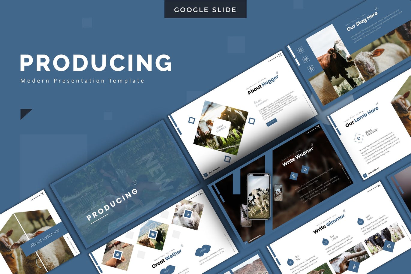 养殖业/牧场宣传谷歌幻灯片设计模板 Producing – Google Slides Template插图