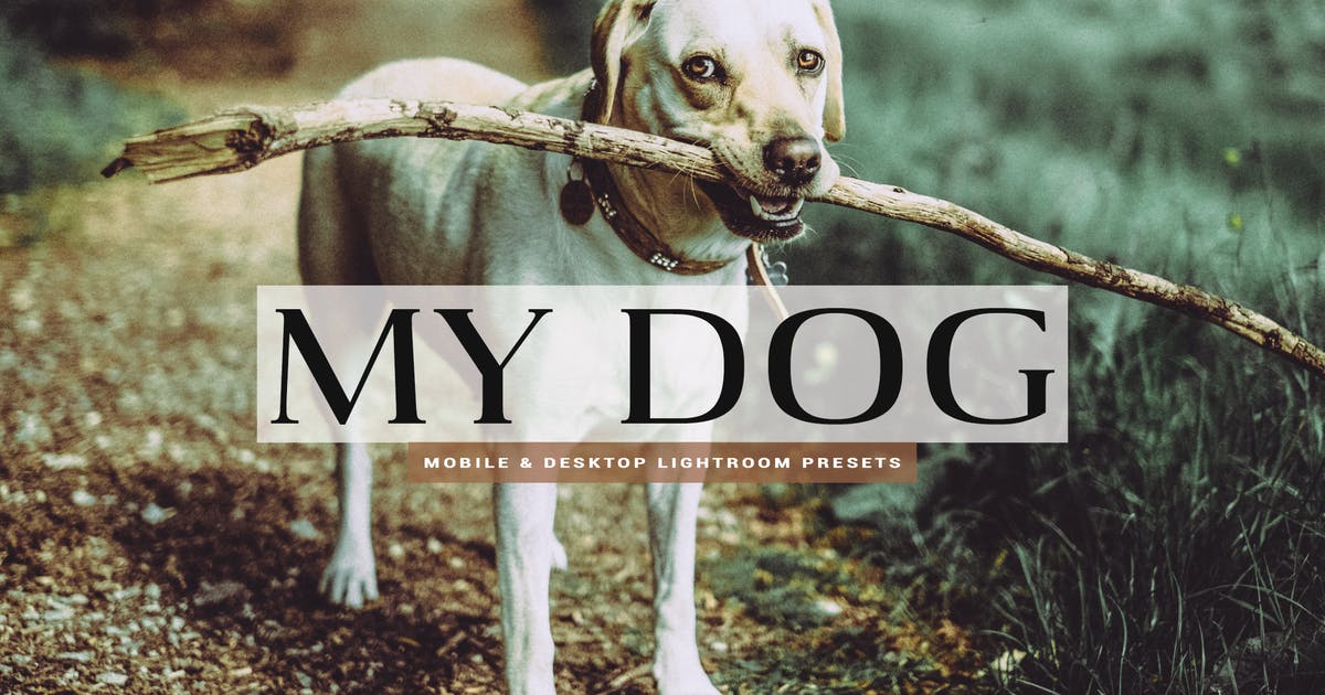 宠物拍摄照片调色Lightroom预设 My Dog Mobile and Desktop Lightroom Presets插图