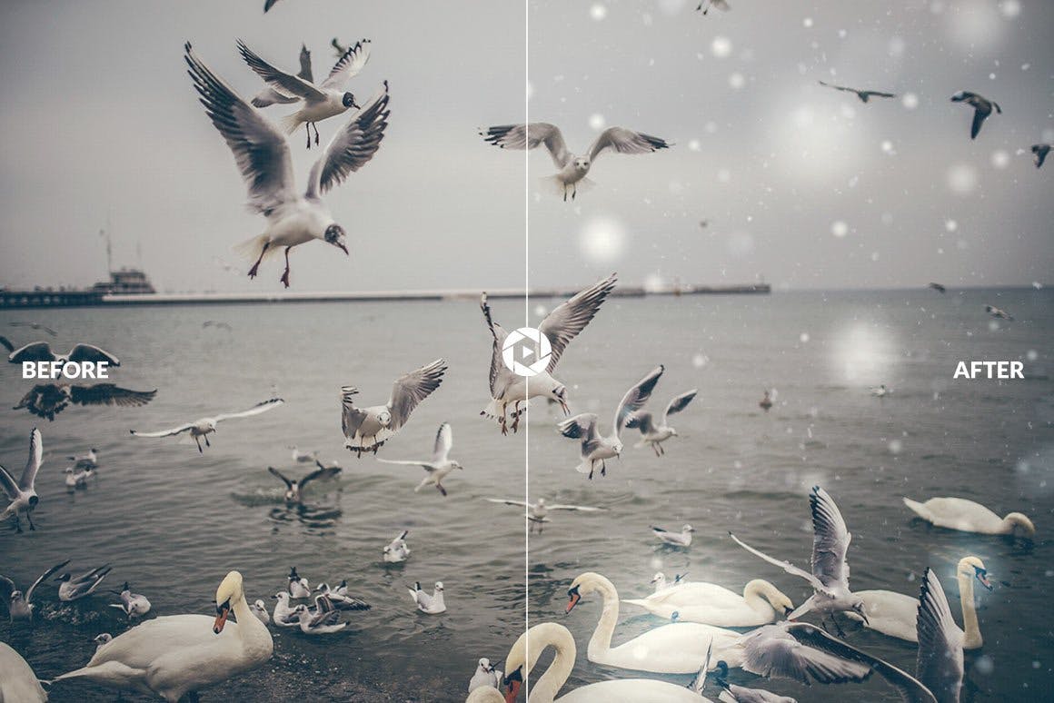 冬日照片调色滤镜Lightroom预设 Winter Lightroom presets + Brushes插图(3)